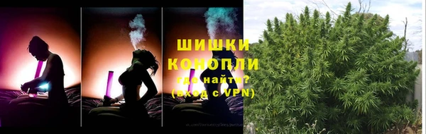 молекула духа Белокуриха