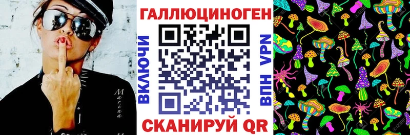 ссылка на мегу ССЫЛКА  darknet телеграм  Псилоцибиновые грибы ЛСД  Великий Устюг 